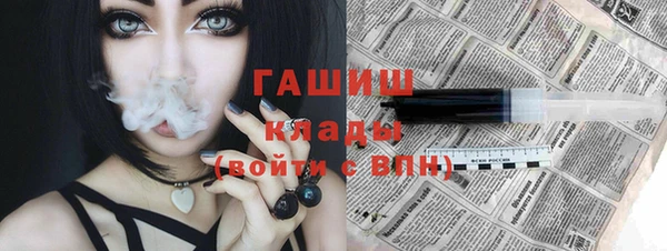 дживик Ельня