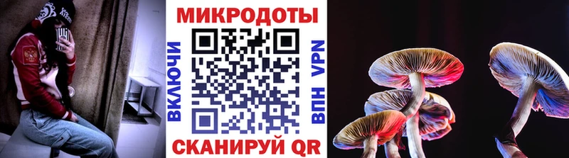 купить наркоту  Мыски  Псилоцибиновые грибы Psilocybine cubensis 
