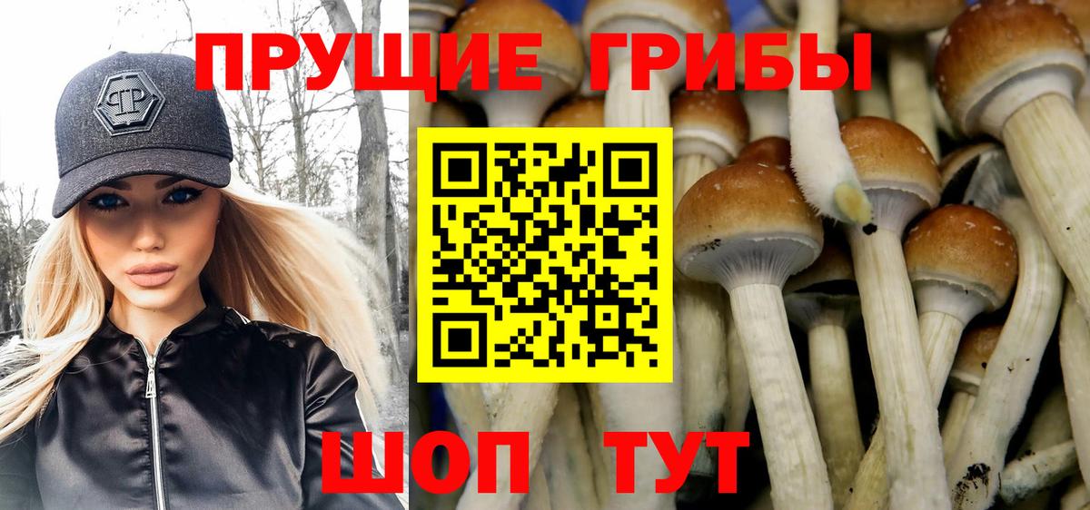 Мыски  Галлюциногенные грибы прущие грибы  Вход с VPN 