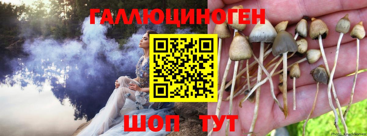 Галлюциногенные грибы прущие грибы Мыски
